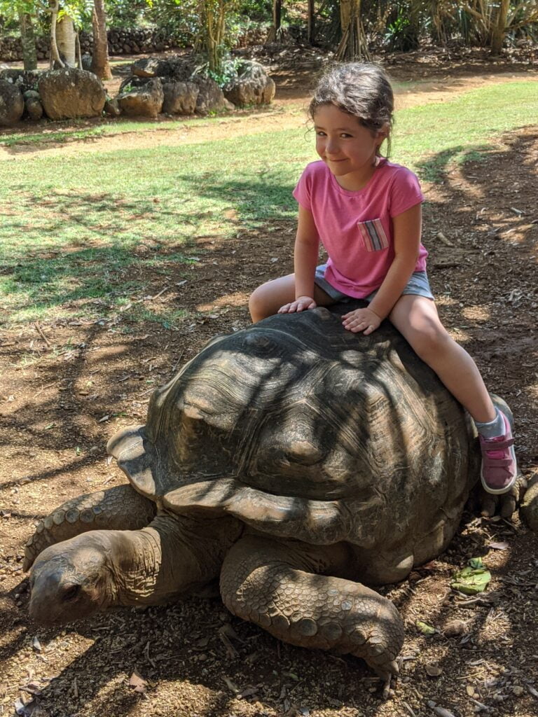 On the back of a turtle in La Vanille Park