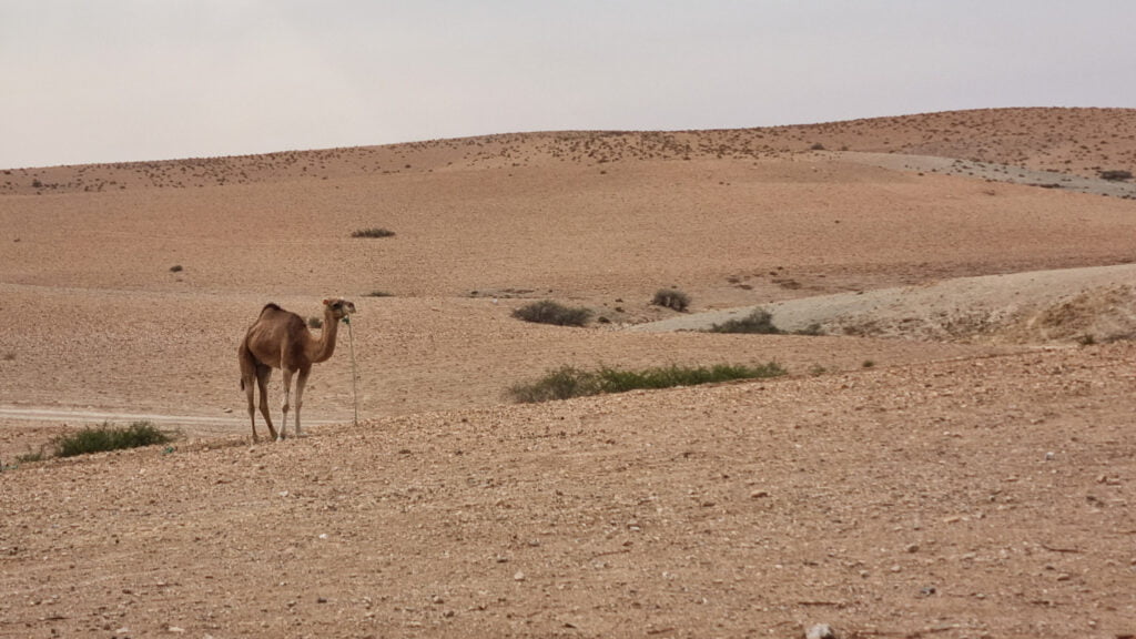 Agafay desert