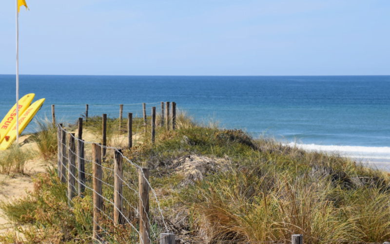 Cap Ferret Cover