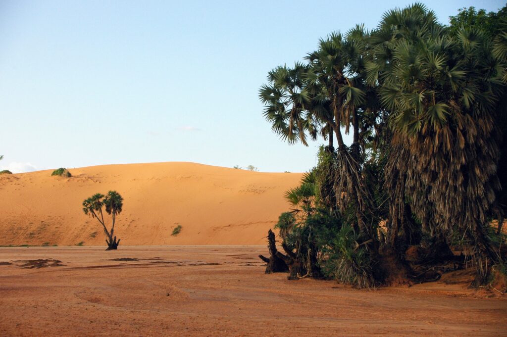 Kareygorou dunes, Niamey (Niger)