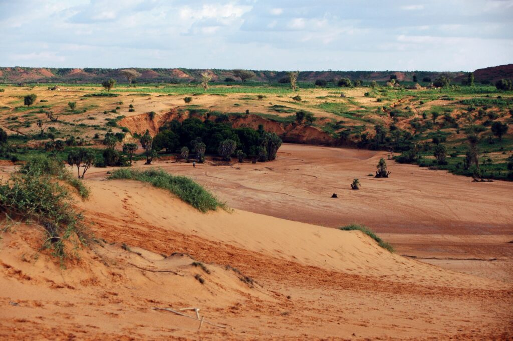 Dunes de sable rouge près de Niamey (Niger)