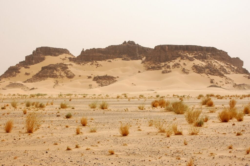 Dunes de sable dans le Sahara