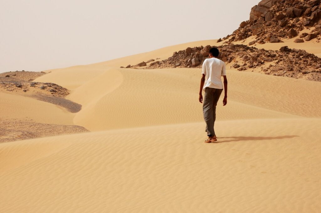 Dunes de sable dans le Sahara