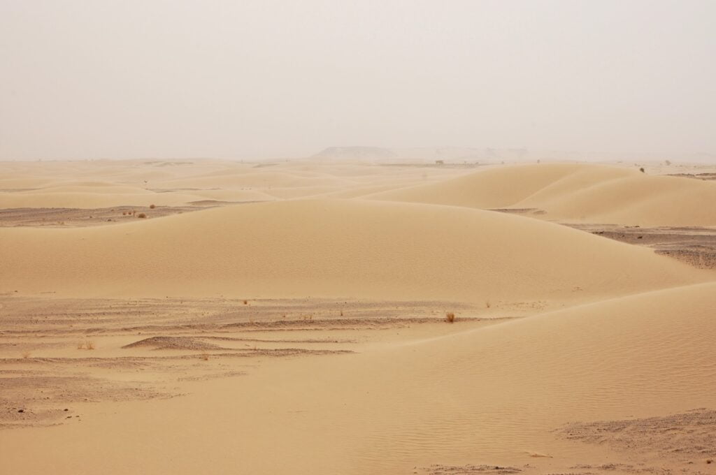 Dunes de sable dans le Sahara