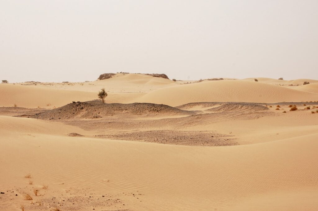 Dunes de sable dans le Sahara