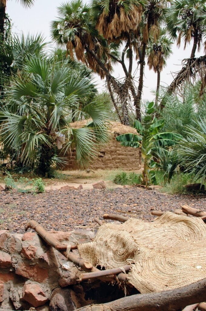 Green oase in Aïr Massif, Niger