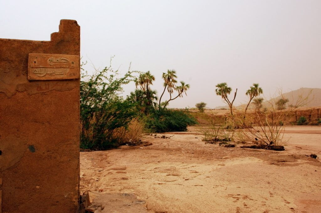 Green oase in Aïr Massif, Niger