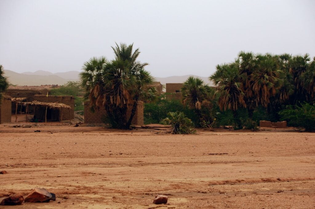 Green oase in Aïr Massif, Niger