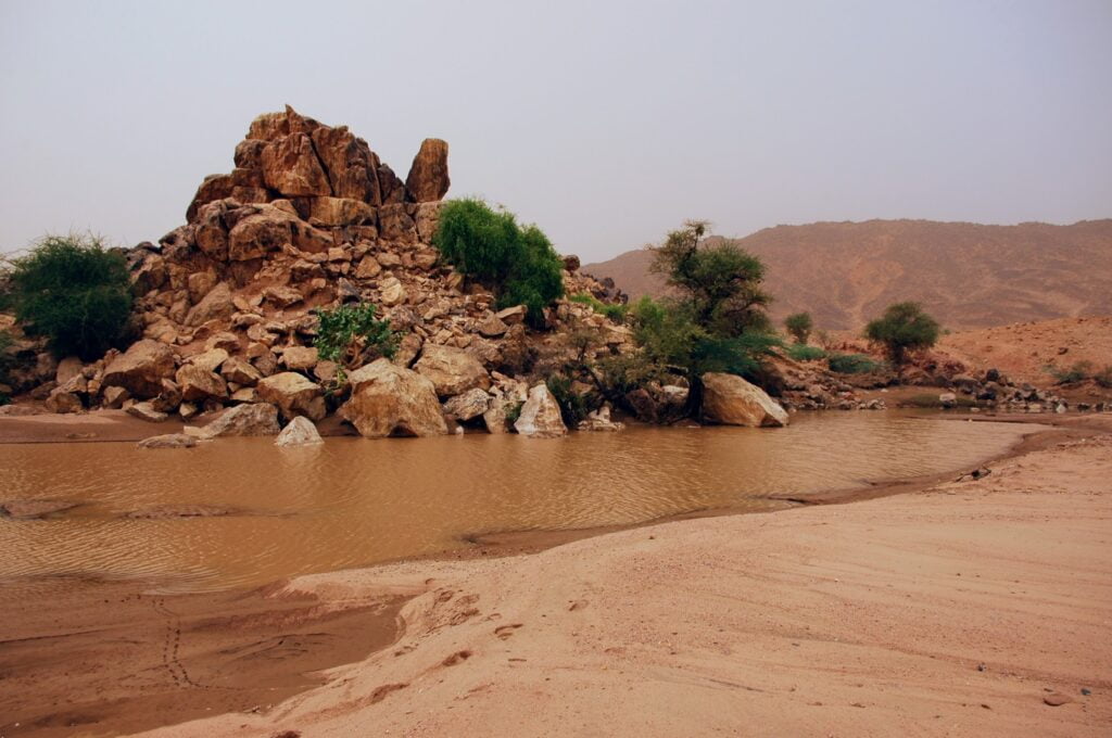 Kori et Oasis dans le massif de l'Aïr