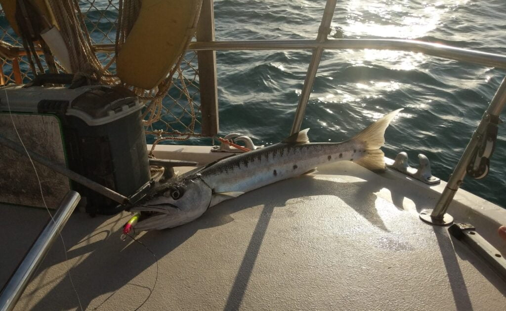 Fresh catch of the day in Belize