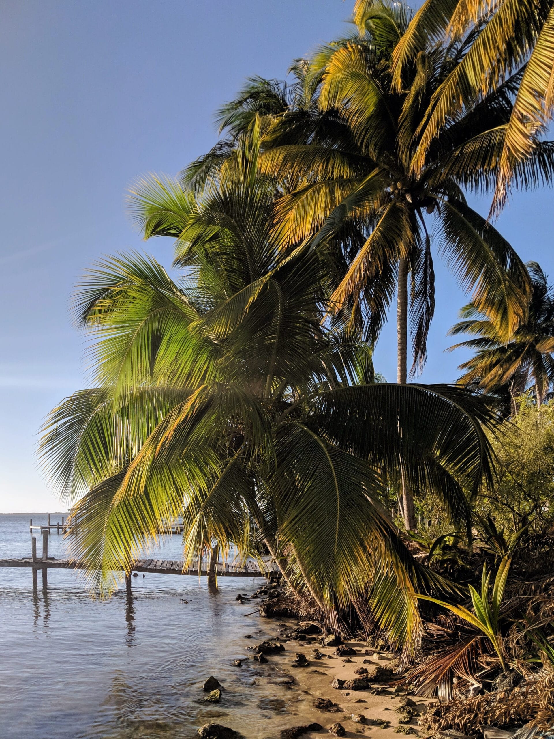 South Water Caye, Belize