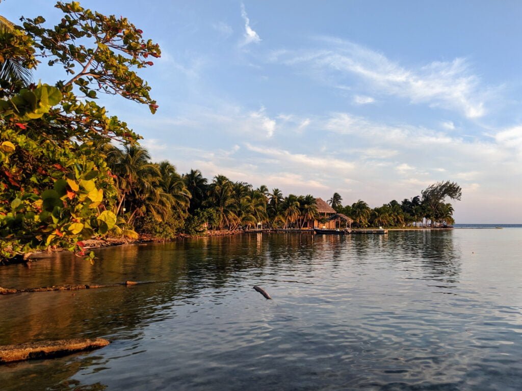 Mangroves and coconut trees dot the shores of South Water Caye