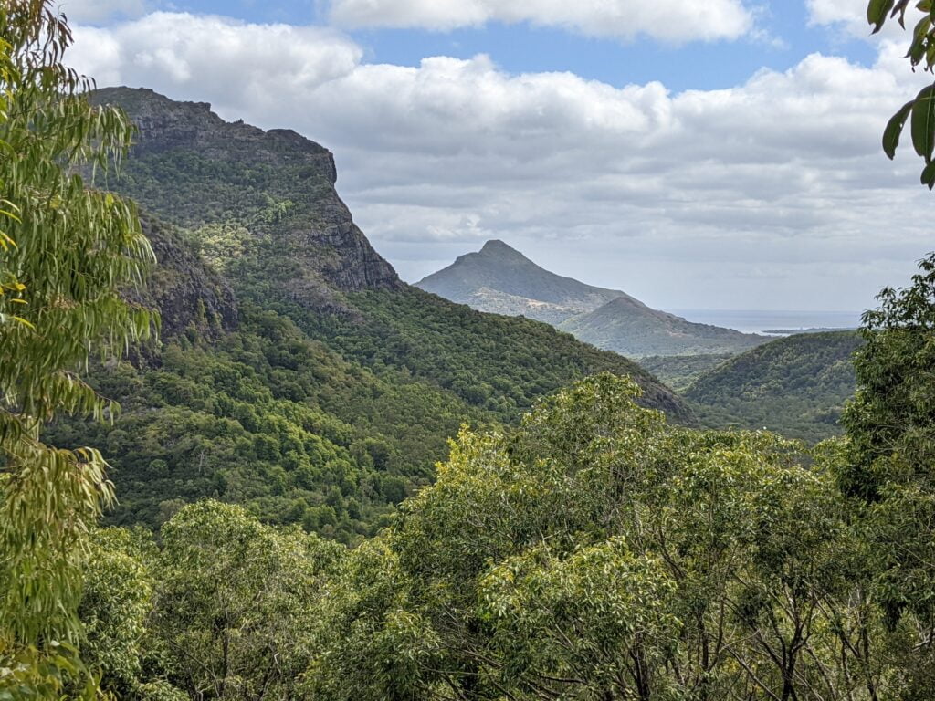 Panoramic view in the Black River Gorges