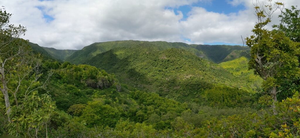 Black River Gorges