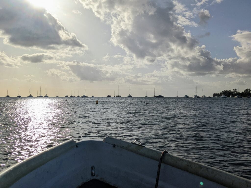 Catamaran's cruise along the coast