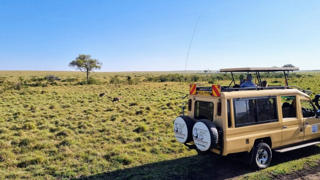 Hyenas at Maasai Mara