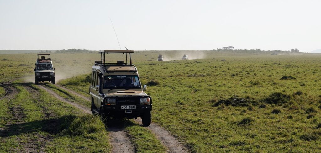 Sur les pistes du Masai Mara