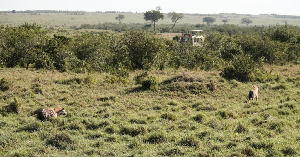 Masai Mara, Kenya