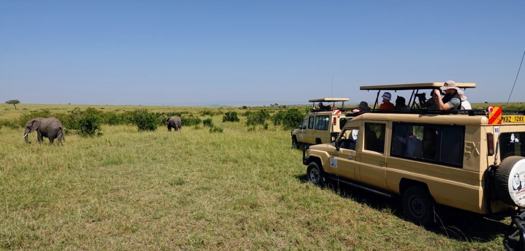 À la rencontre des éléphants du Masaï Mara