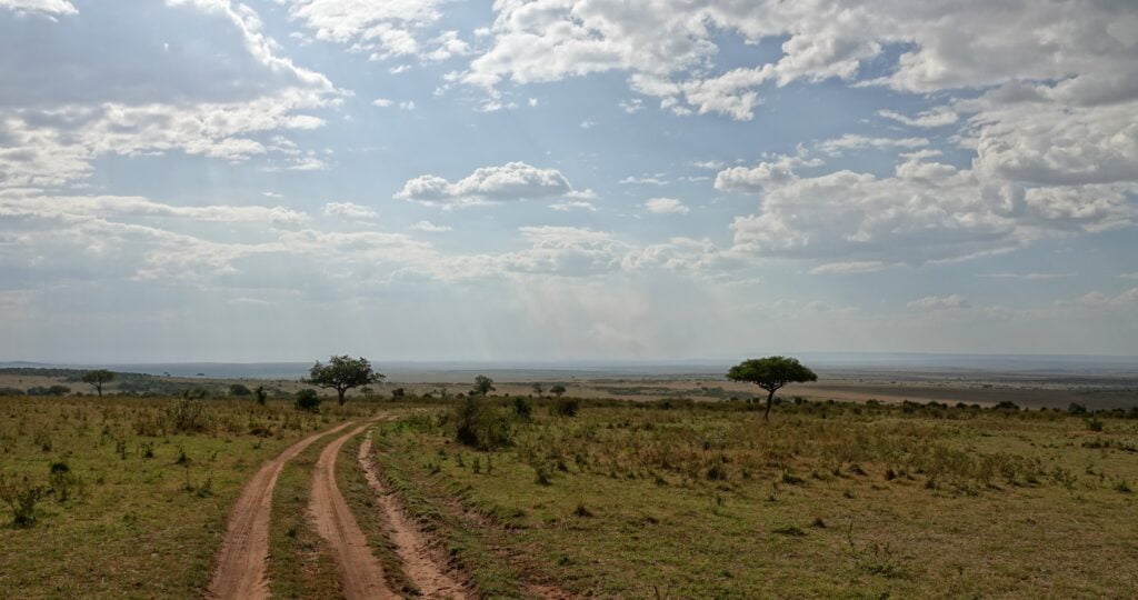 Masai Mara, Kenya