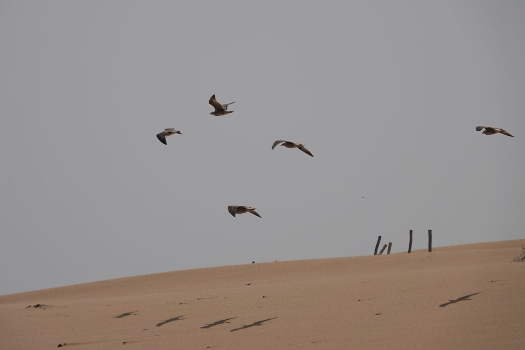 Plage de Diabat