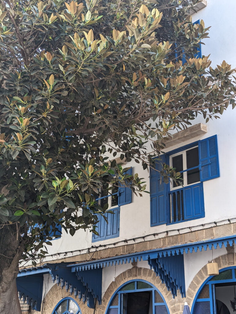 Hôtel dans la médina d'Essaouira