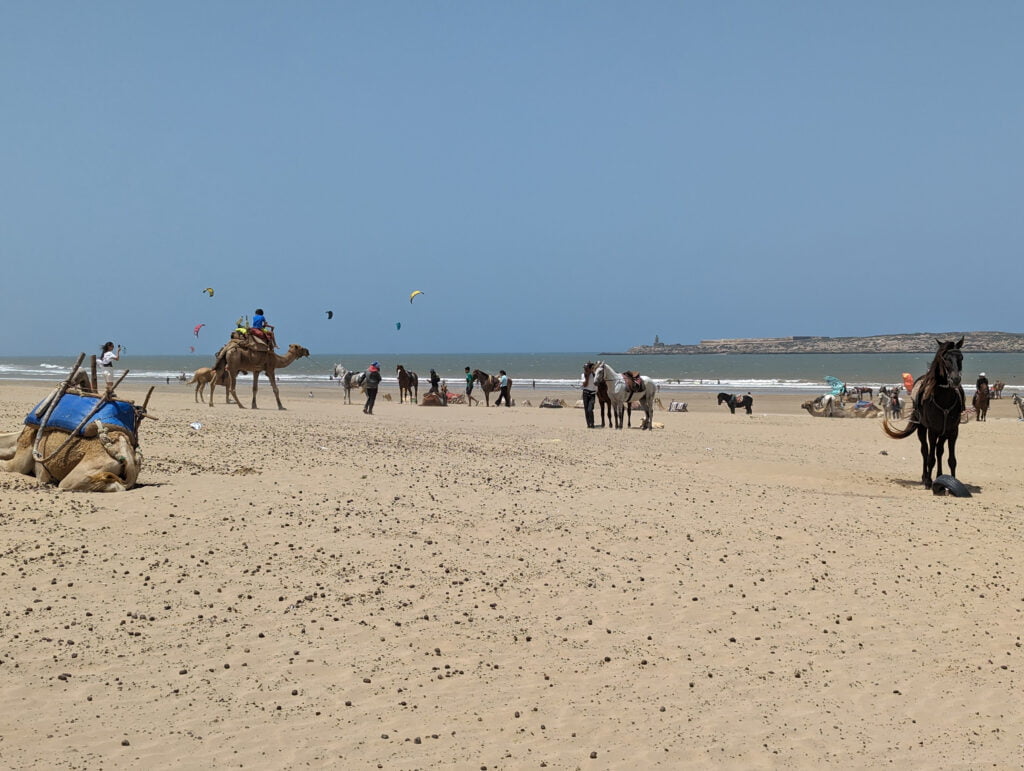 Plage d'Essaouira