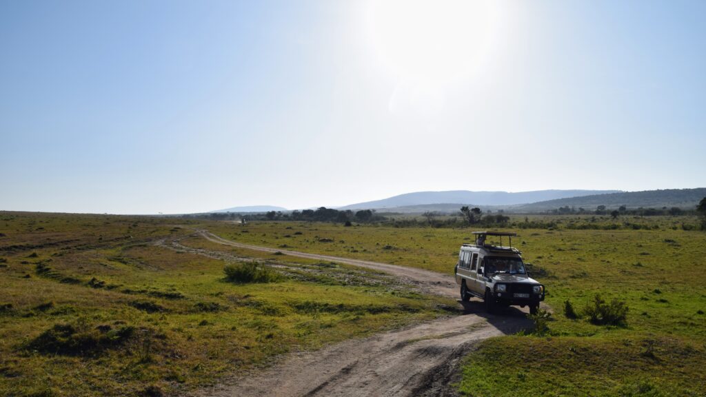 Exploring the Masaï Mara's mesmerizing tracks.