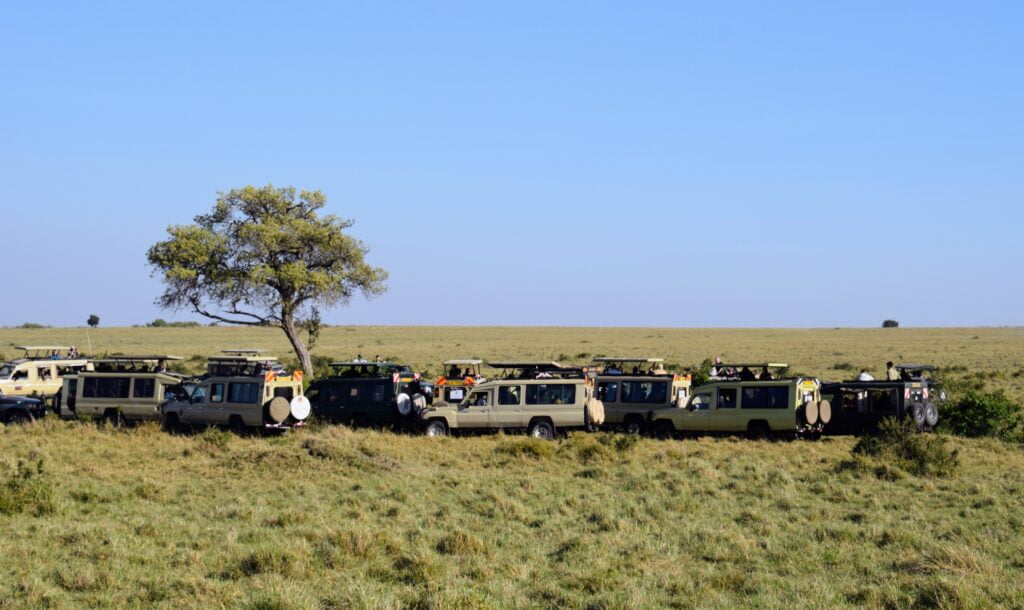 Maasai Mara