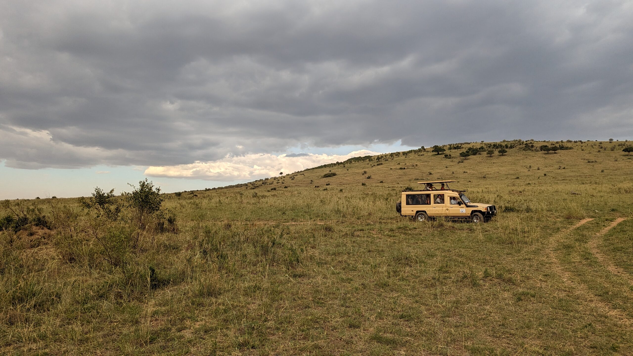 Masai Mara, Kenya