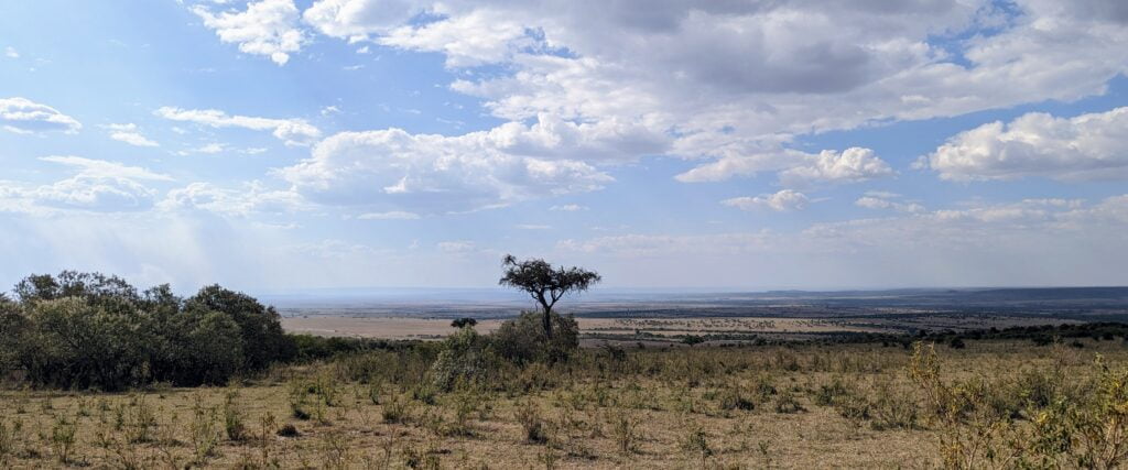 Masai Mara, Kenya