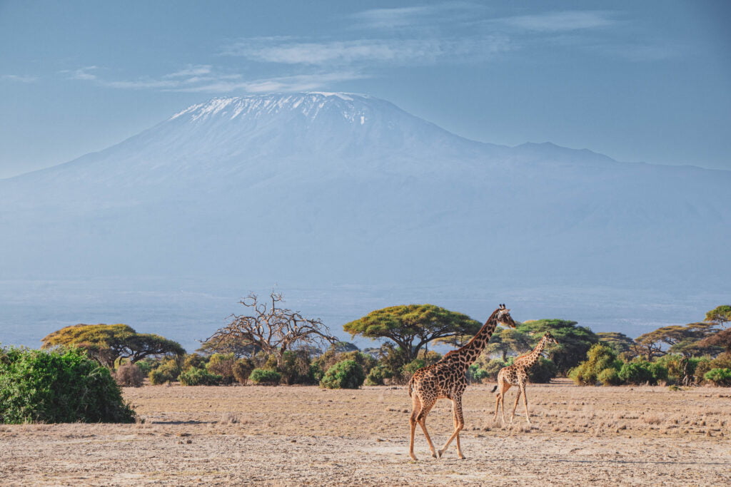 View of Mount Kilimanjaro from Amboseli National Park