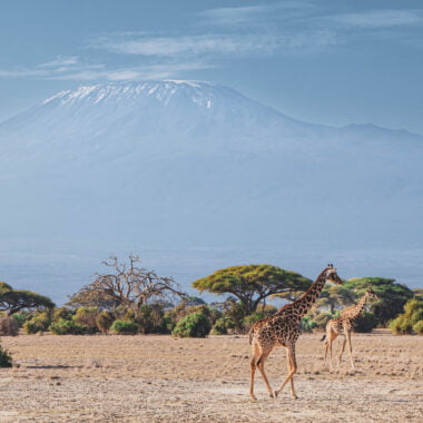 View of Mount Kilimanjaro from Amboseli National Park