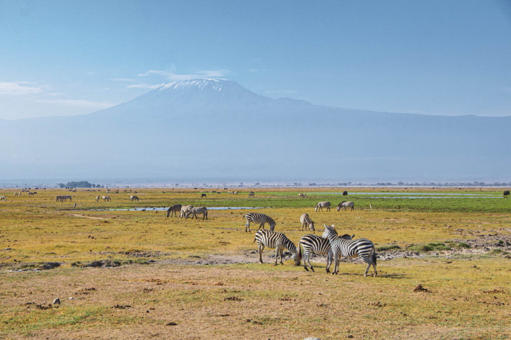 Amboseli National Park Plains