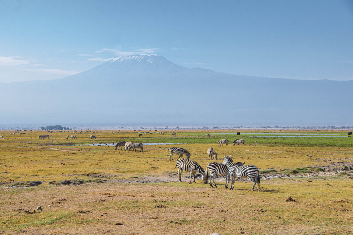 Plaines du parc national Amboseli