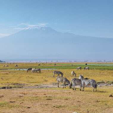 Plaines du parc national Amboseli