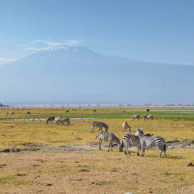 Amboseli National Park Plains