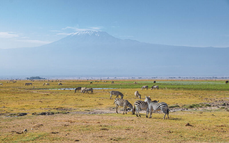 Plaines du parc national Amboseli