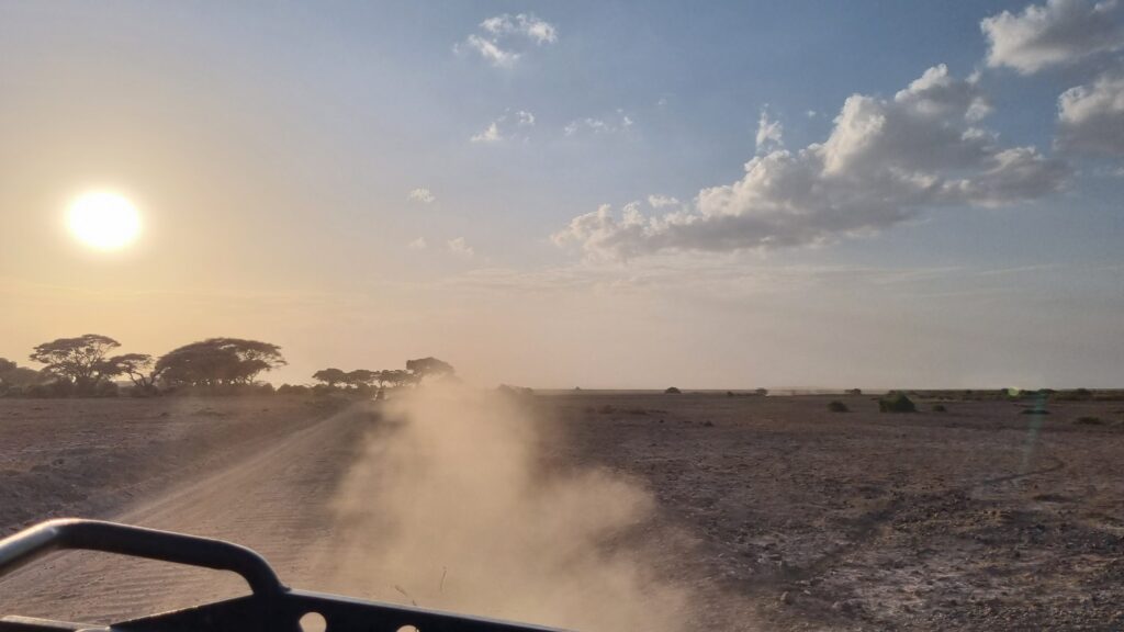 Evening falls over Amboseli