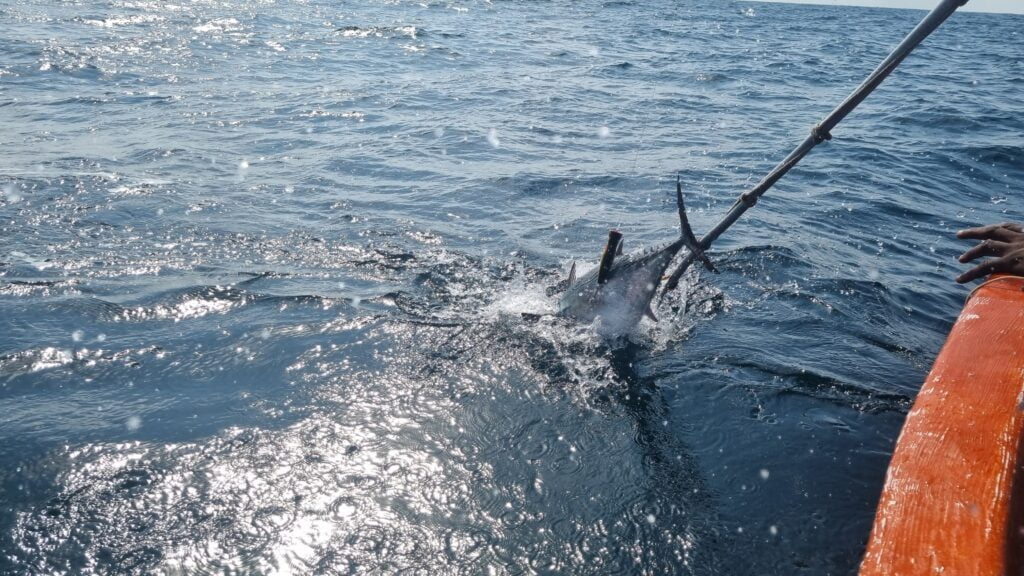 Fishing in Watamu