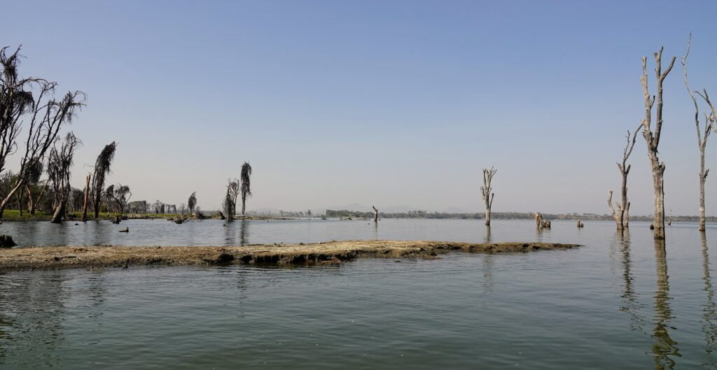 Shores of Lake Naivasha