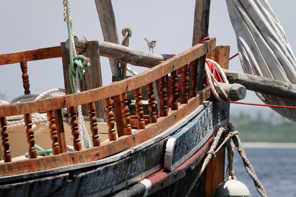 Dhow Cruise in Mida Creek