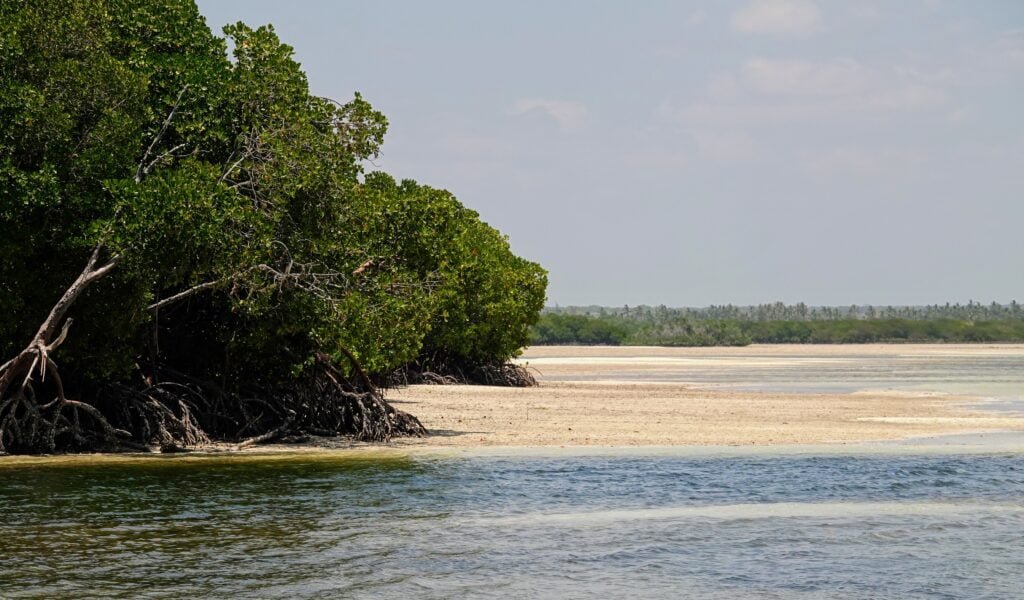 Lunch à Sudi Island, Watamu