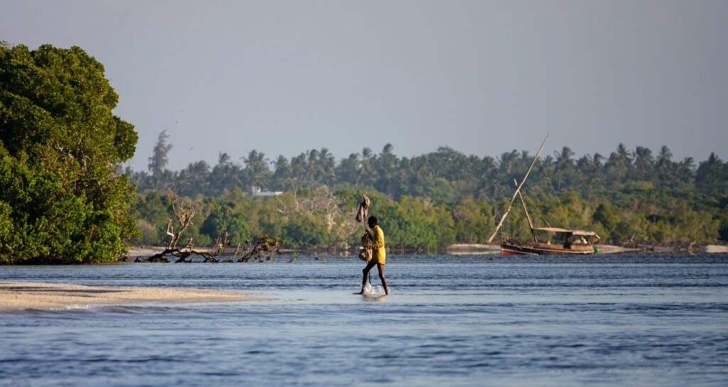 Dhow Cruise in Mida Creek