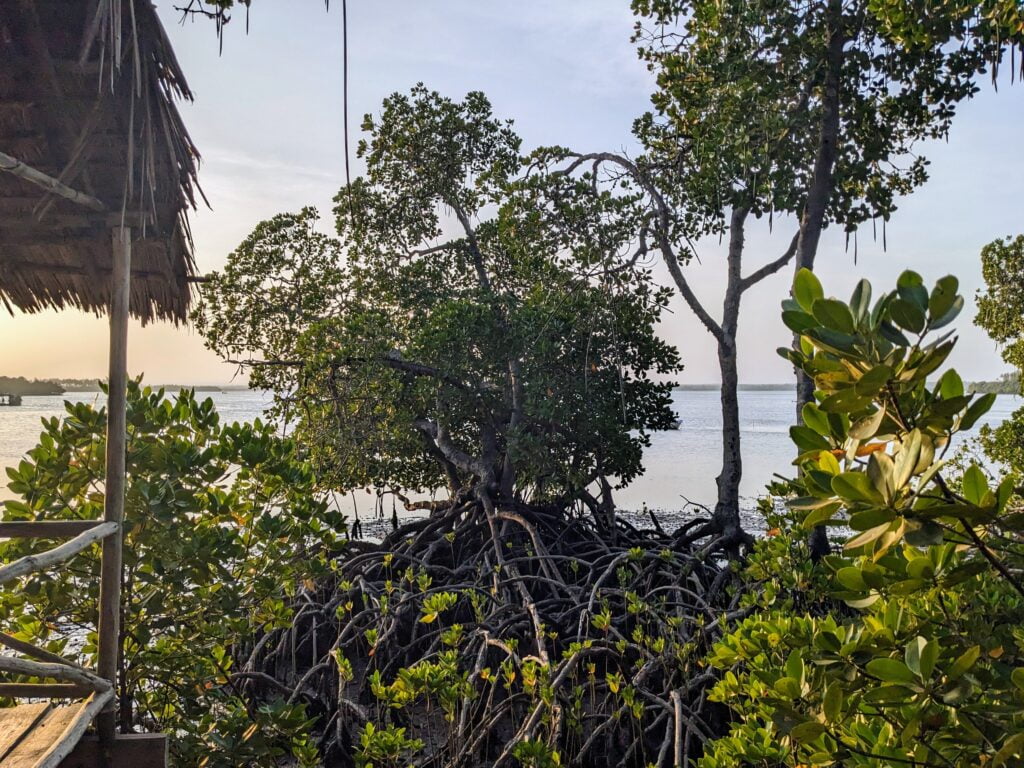 Crab Shack, Watamu