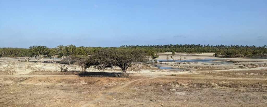 Sur la route entre Mombasa et Watamu