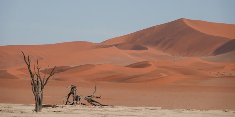 Death Vlei, Namibie