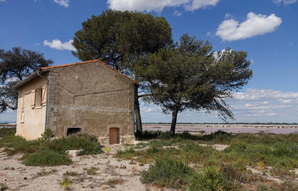 Aigues-Mortes, Camargue