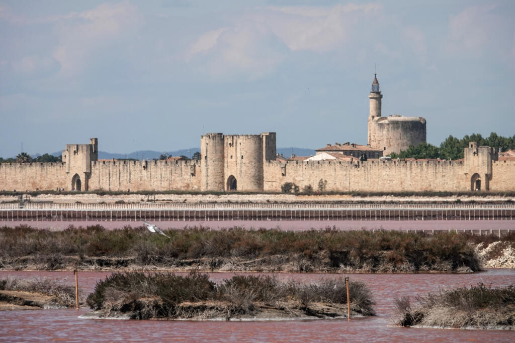 Aigues-Mortes, Camargue