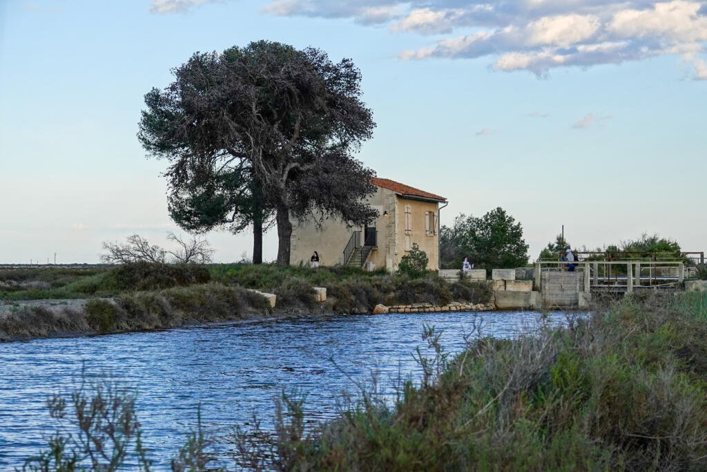 Aigues-Mortes, Camargue